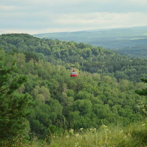 Photo #10404260