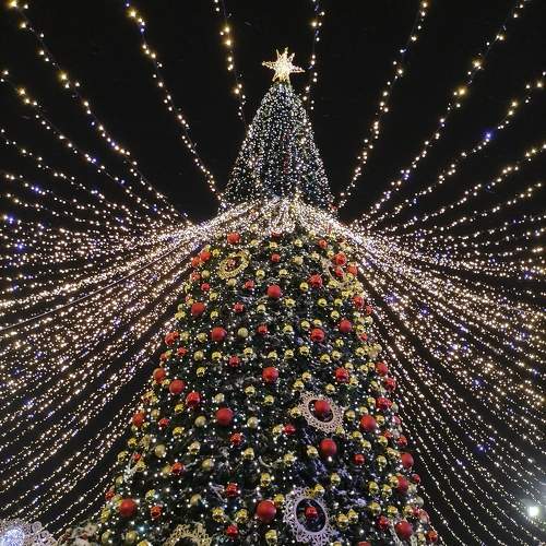 Фотография #10404341