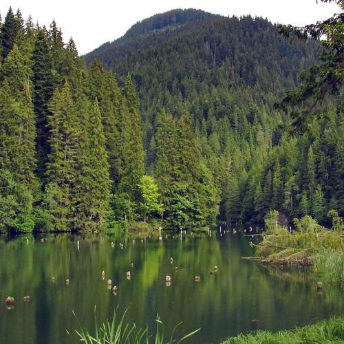 Photo #10404347