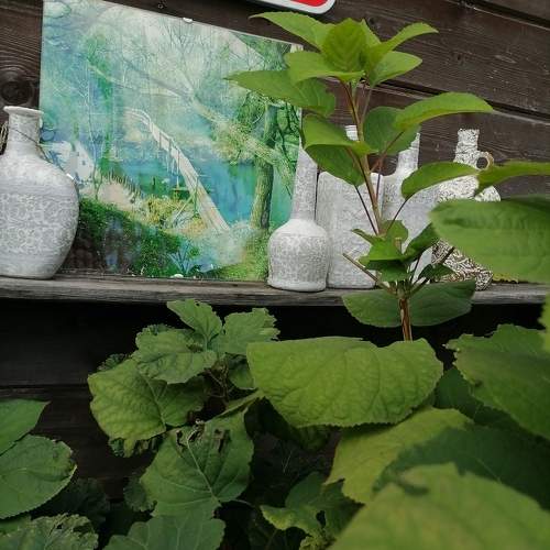 Фотография #10404634