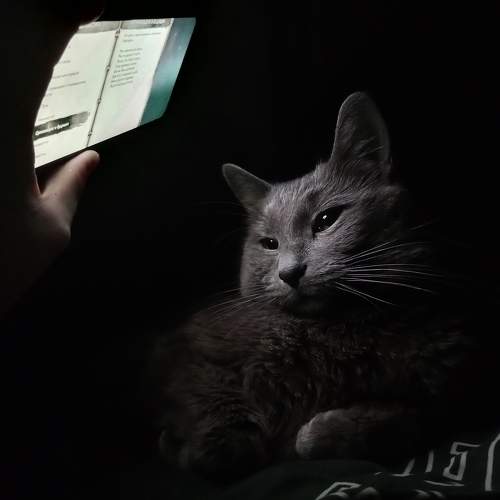 Photo #10405048