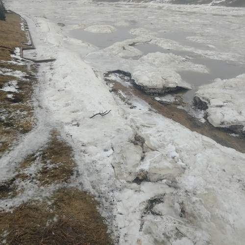 Photo #10405546