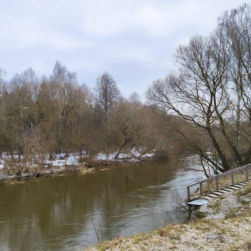 Photo #10405756