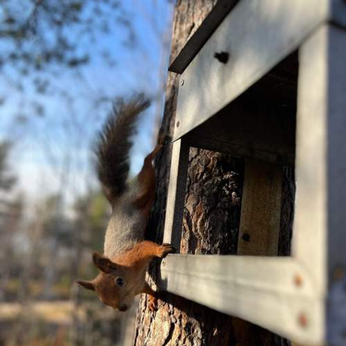Photo #10405832