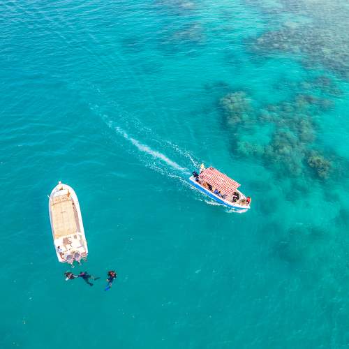 SEADIVING ACTIVITIES