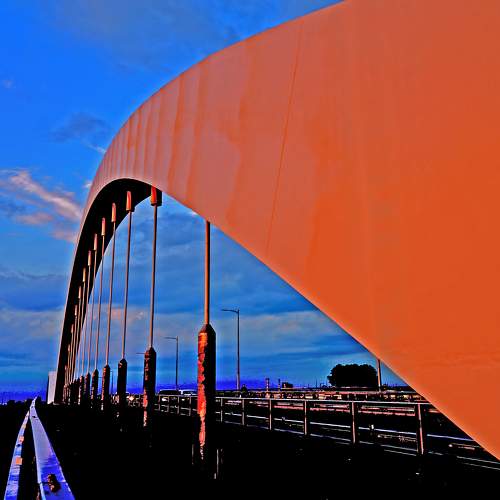 Photo #10406153
