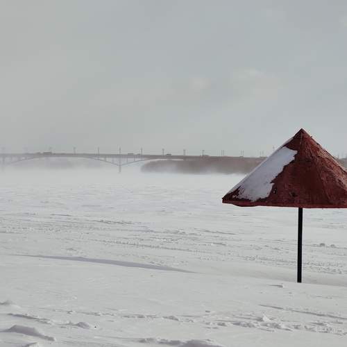 Photo #10406214