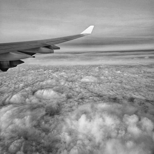 Photo #10406334