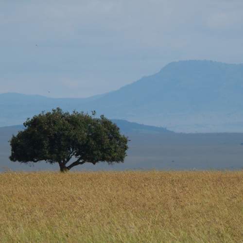 Photo #10406347