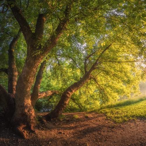Photo #10406373