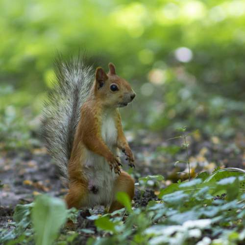 Photo #10406374