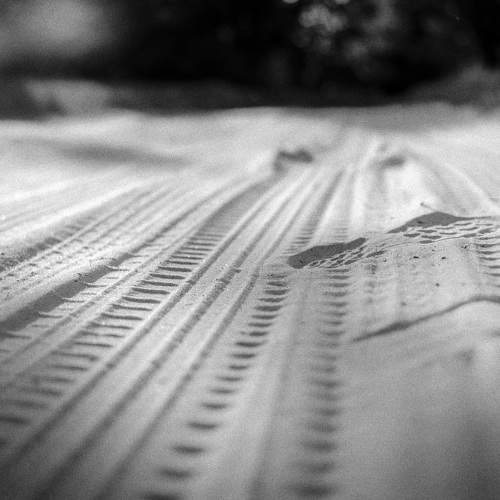 Photo #10406382