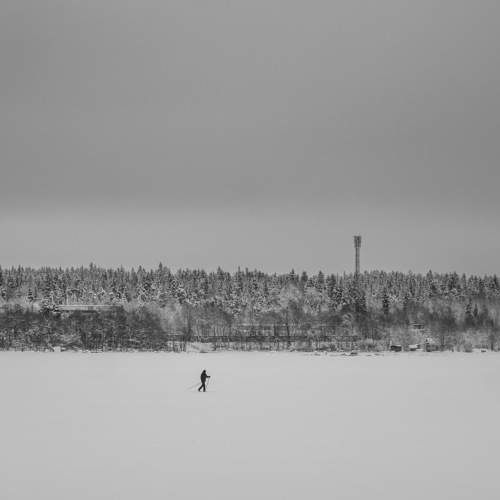 Photo #10406494