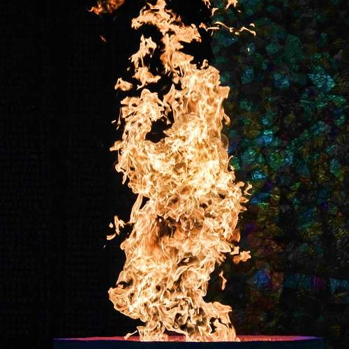Photo #10406757