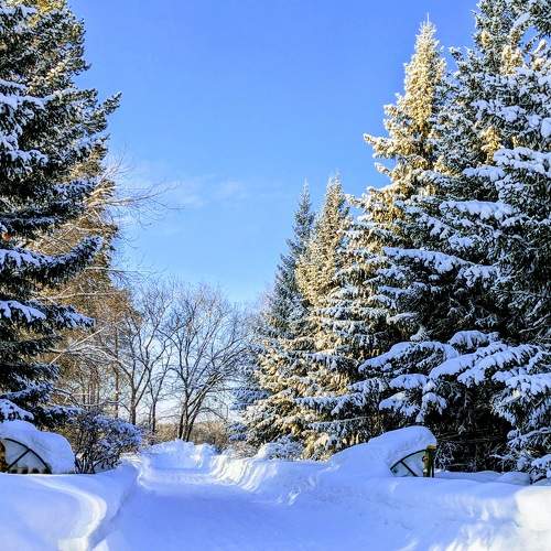 Photo #10406858