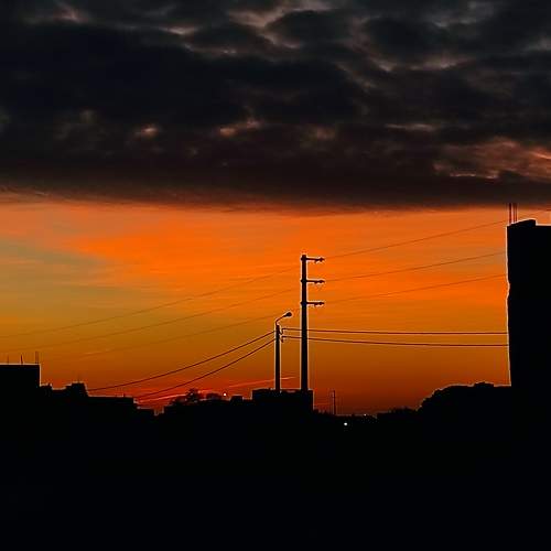 Photo #10406905