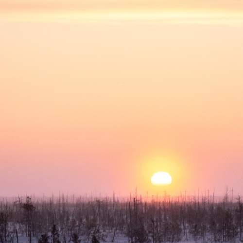 Photo #10407019