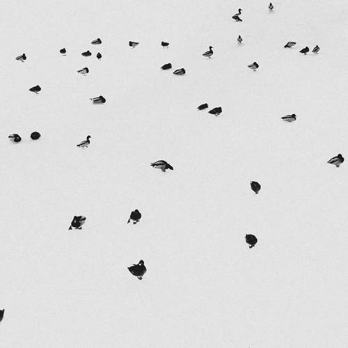 Photo #10407070