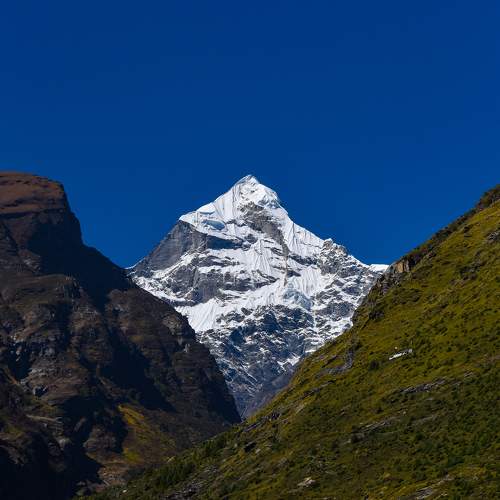 Photo #10407101