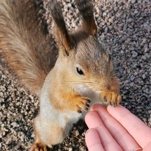 Photo #10407405