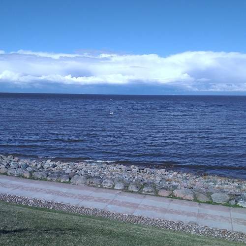 Photo #10407427