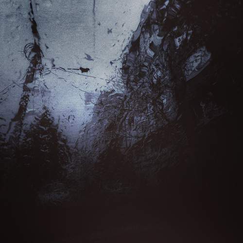 Photo #10407434