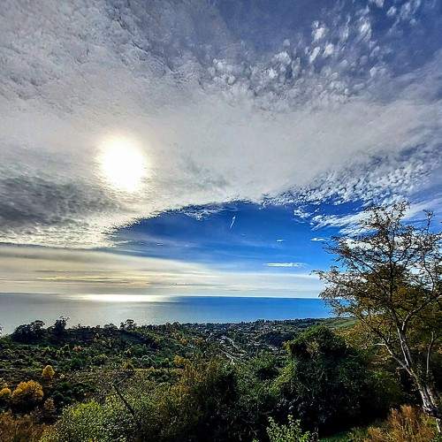 Photo #10407450
