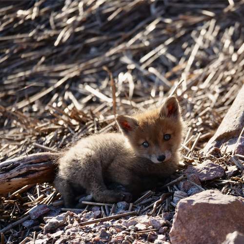 Photo #10407519