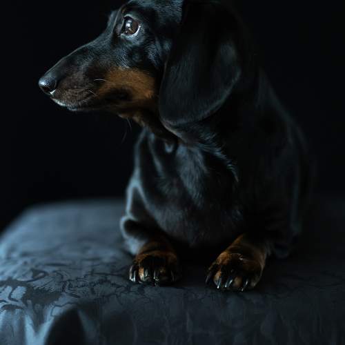 Photo #10407908
