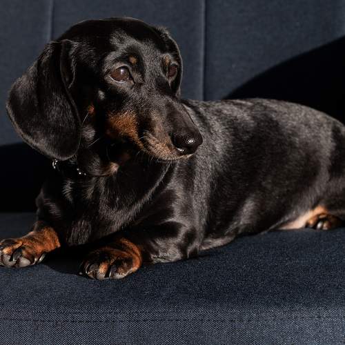 Photo #10407926
