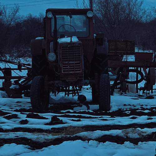 Photo #10407968