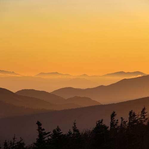 Photo #10408021