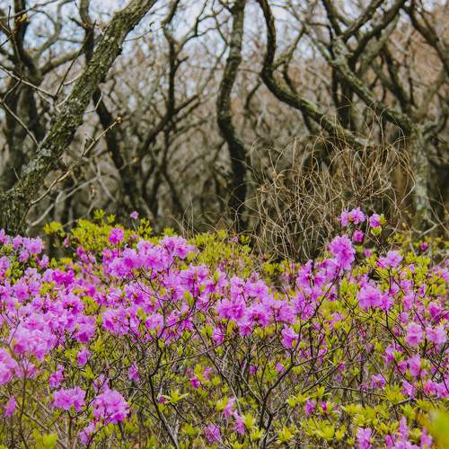Photo #10408038