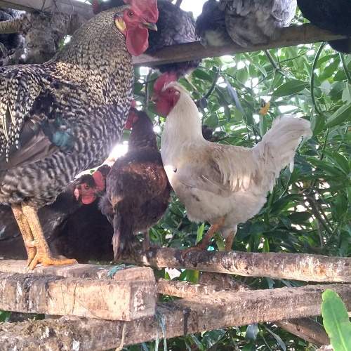 Photo #10408088