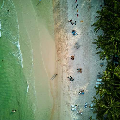 Photo #10408166