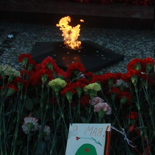 Photo #10408267