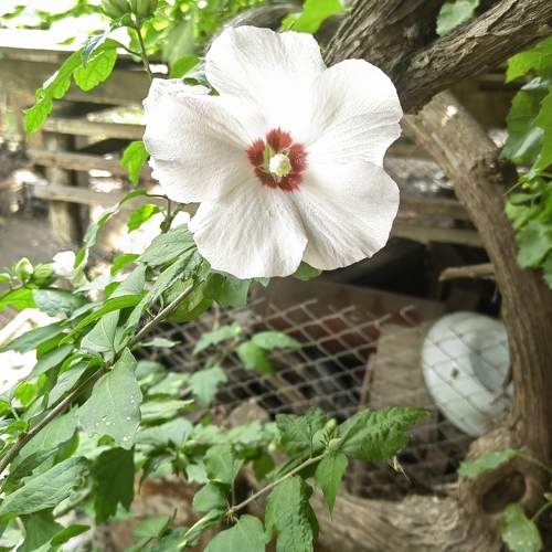 Photo #10408356