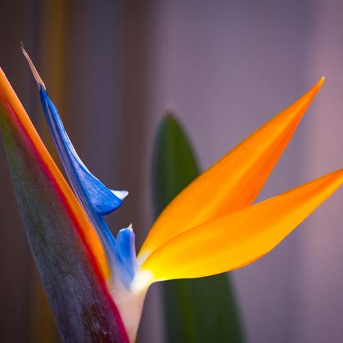 Photo #10408359