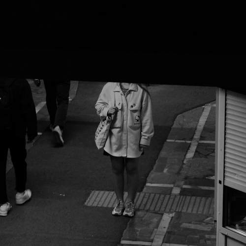 Photo #10408460