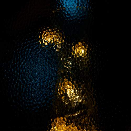 Photo #10408534