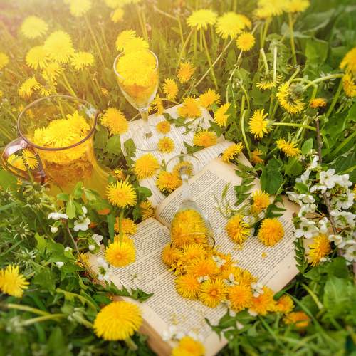 Photo #10408540