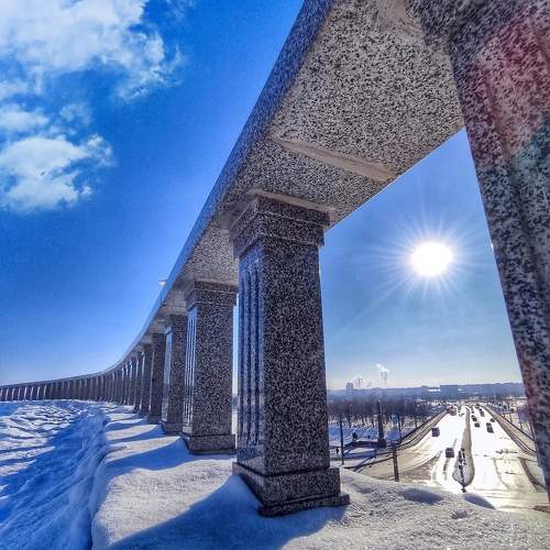 Photo #10408548