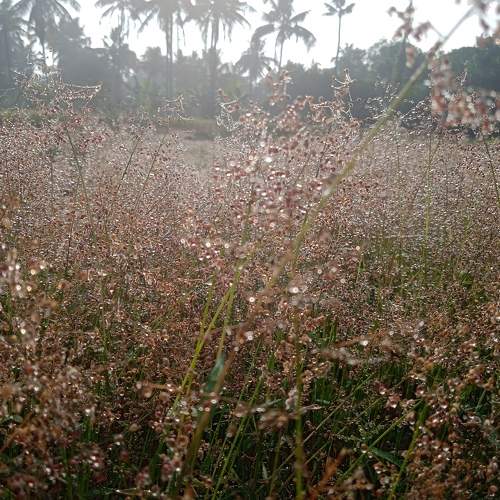 Photo #10408559