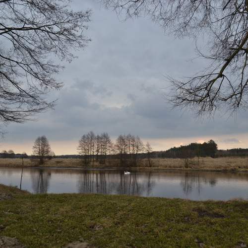 Photo #10408612