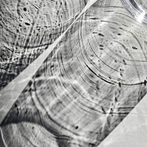 Photo #10408656