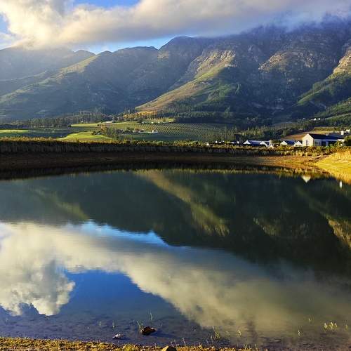 Photo #10408661