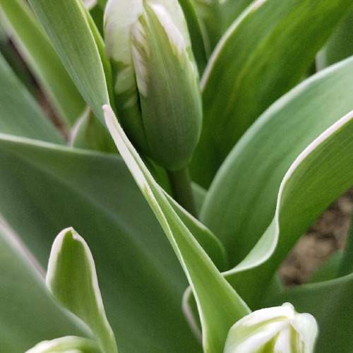 Photo #10408693