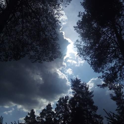 Photo #10408731