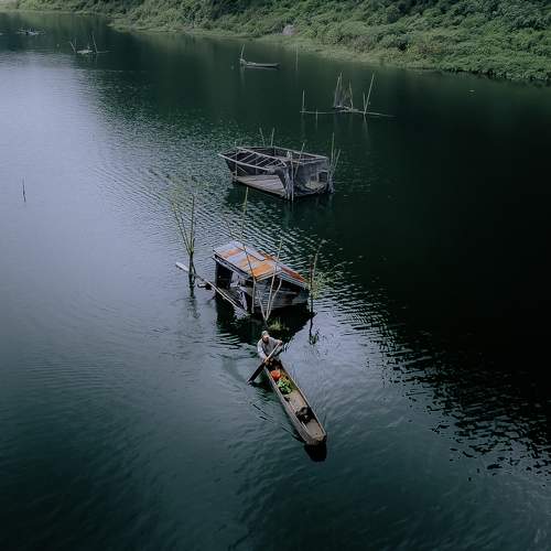 Photo #10408825