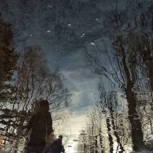 Photo #10408904